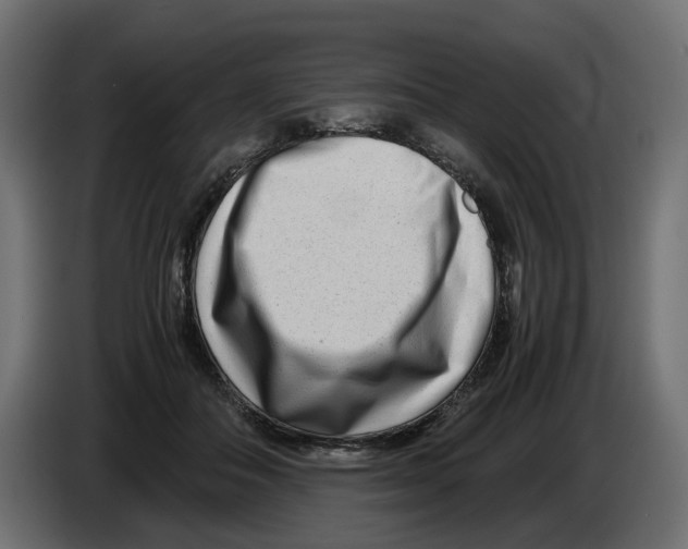 X0000082950506200703020152