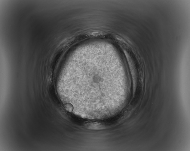 X0000082950507200703020152