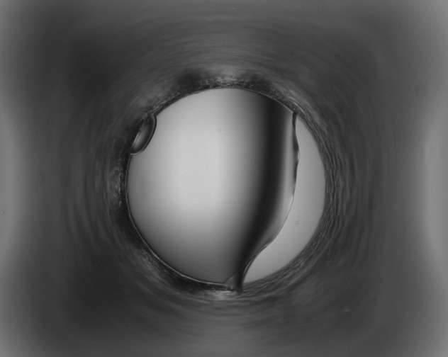 X0000082950509200703020152