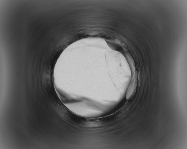 X0000082950510200703020152