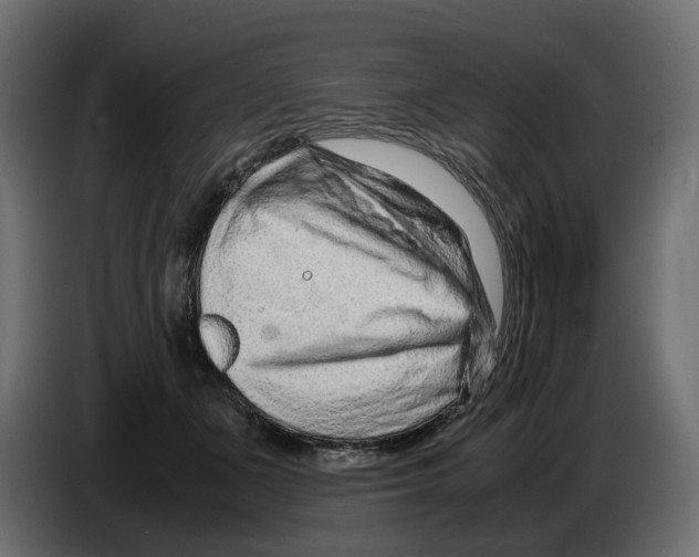 X0000082950511200703020152