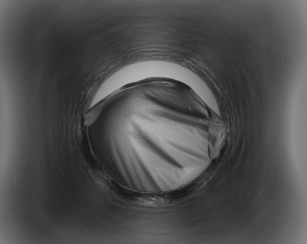 X0000082950512200703020152