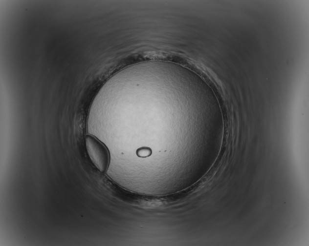 X0000082950513200703020152