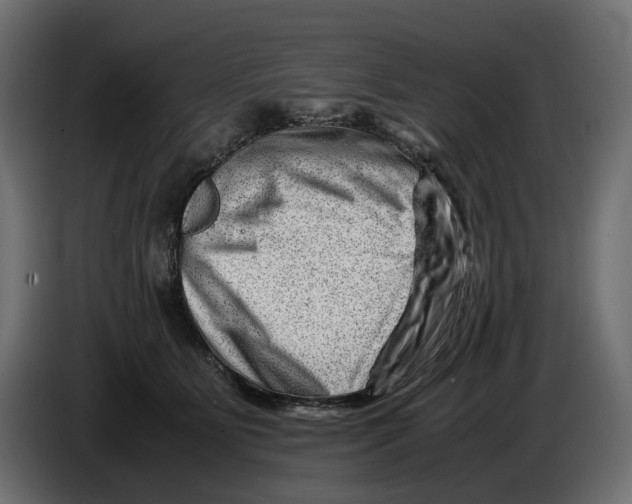 X0000082950515200703020152