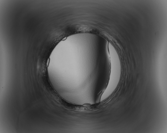 X0000082950517200703020152