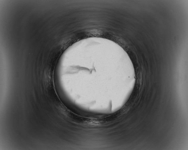 X0000082950518200703020152