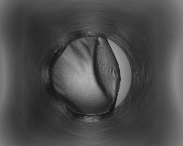 X0000082950520200703020152