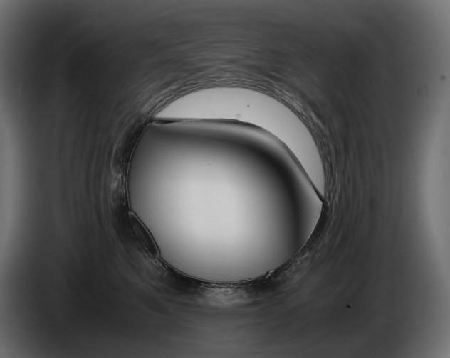 X0000082950521200703020152