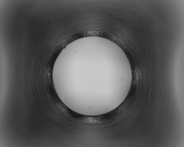 X0000082950522200703020152