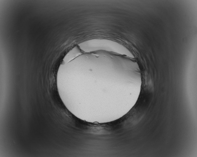 X0000082950523200703020152