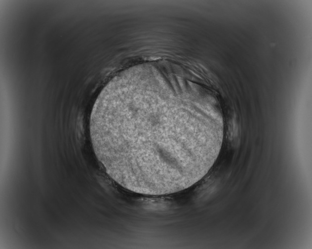 X0000082950524200703020152