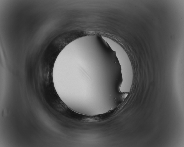 X0000082950525200703020152