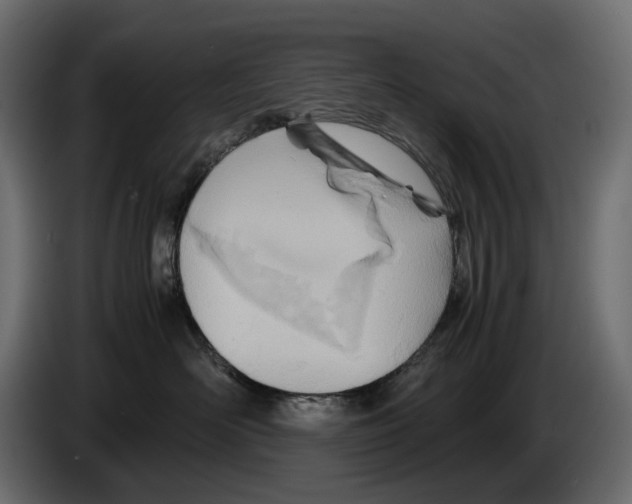 X0000082950526200703020152