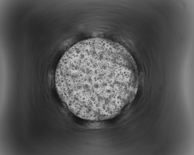 X0000082950527200703020152