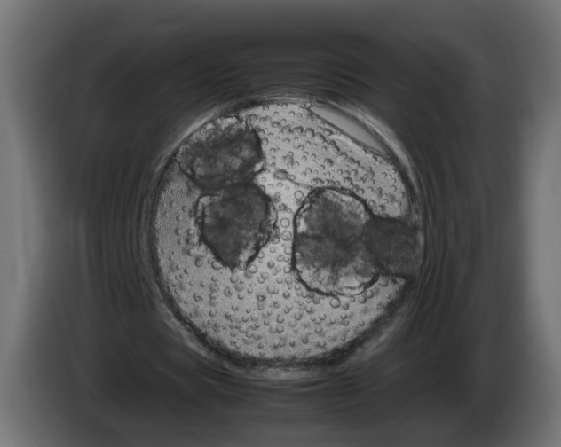 X0000082950529200703020151