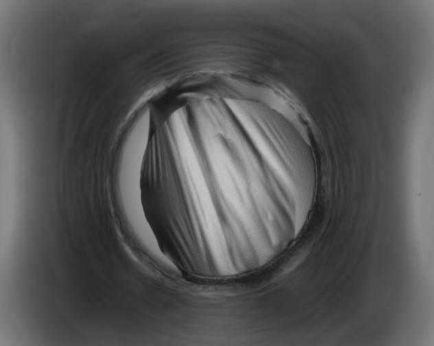 X0000082950530200703020151