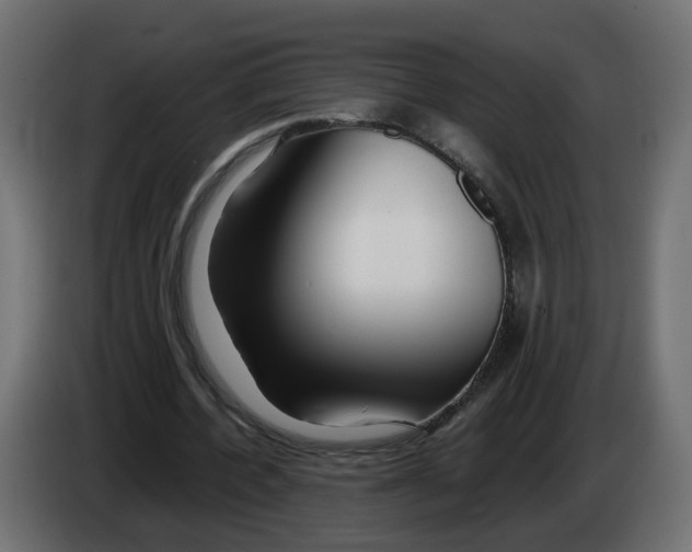 X0000082950532200703020152