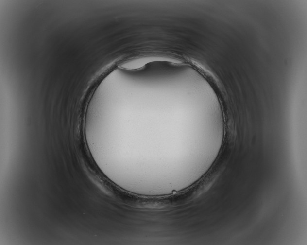 X0000082950533200703020152