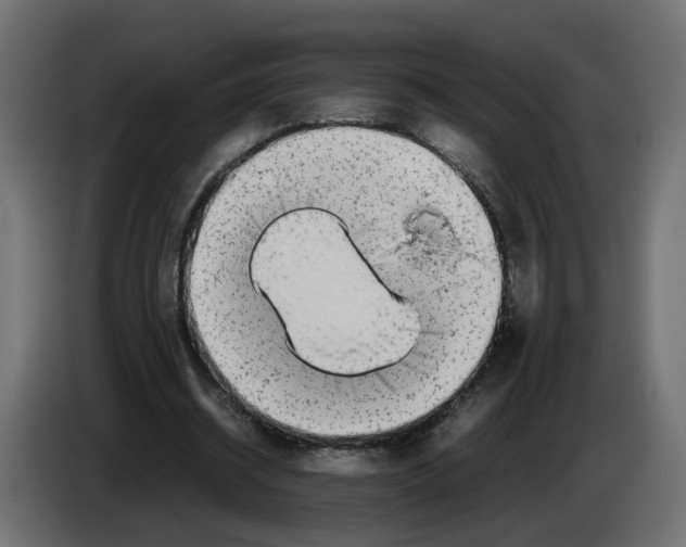 X0000082950534200703020152