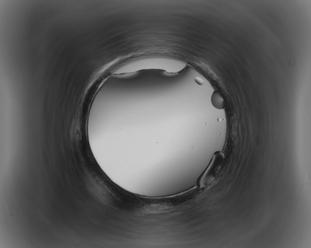 X0000082950536200703020152