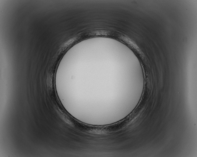 X0000082950537200703020152