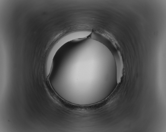 X0000082950538200703020152