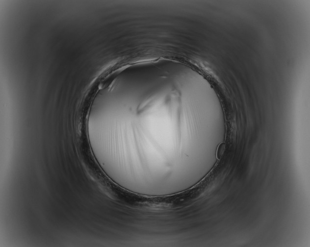 X0000082950539200703020152