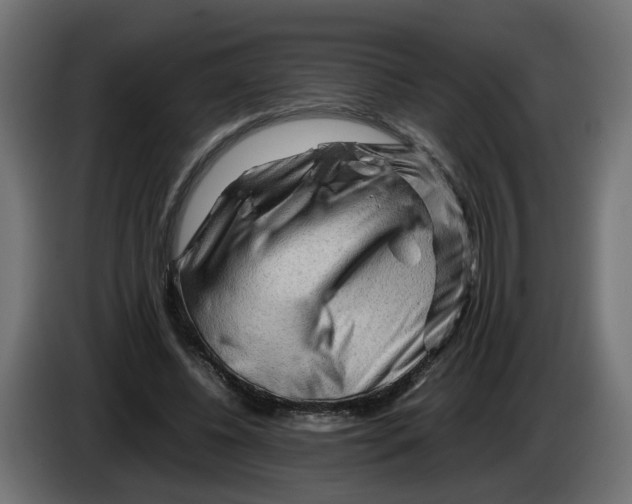 X0000082950540200703020152