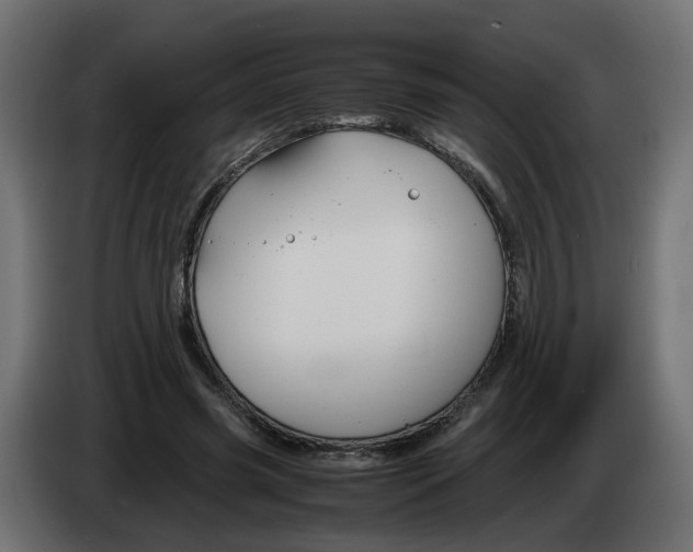 X0000082950541200703020152