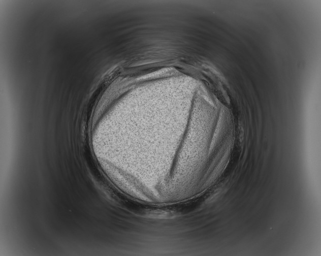 X0000082950542200703020152