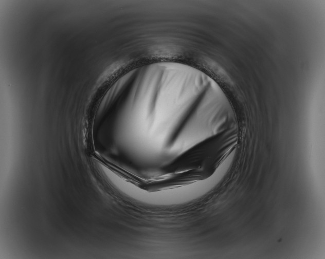 X0000082950544200703020152