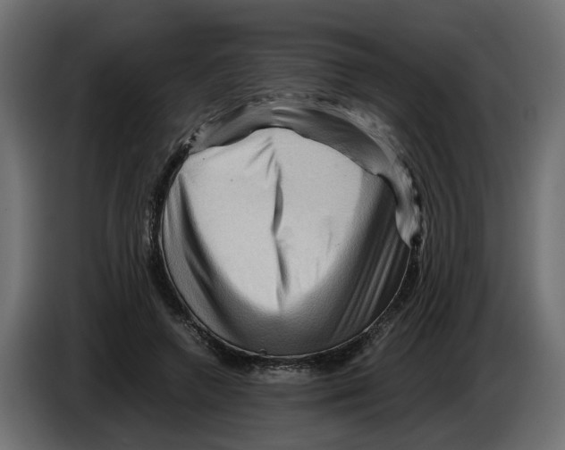 X0000082950546200703020152