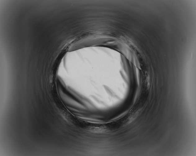 X0000082950548200703020152