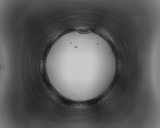 X0000082950549200703020152