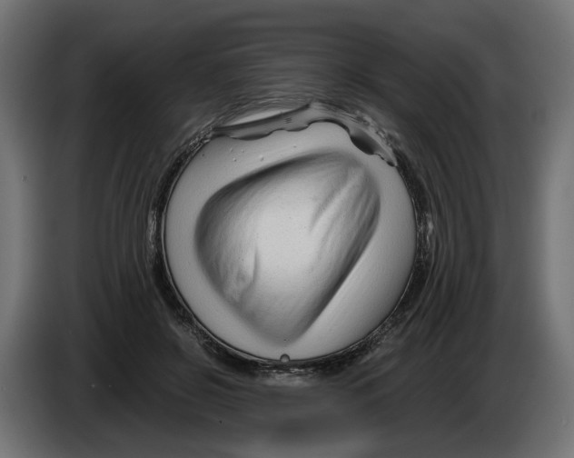 X0000082950550200703020152