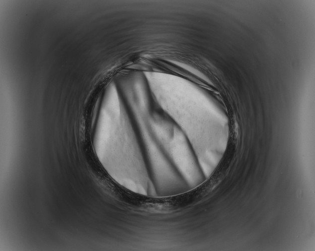 X0000082950552200703020152