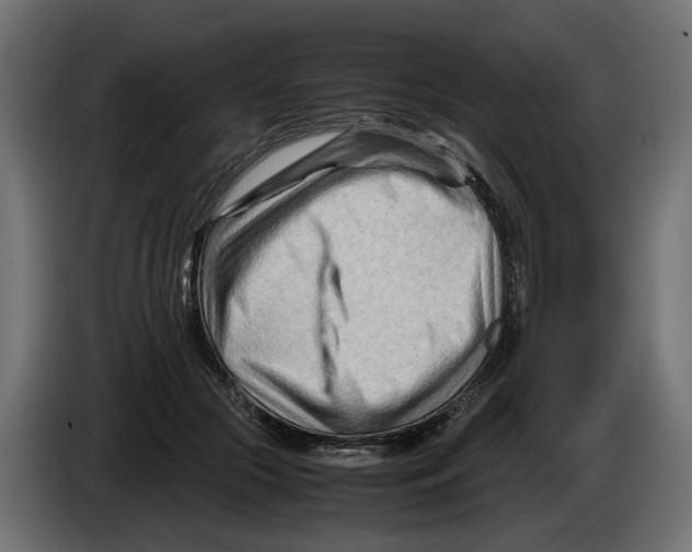 X0000082950553200703020152