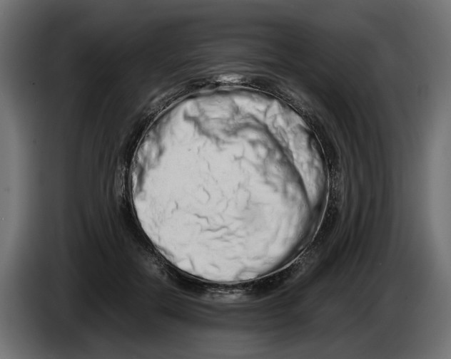 X0000082950554200703020152