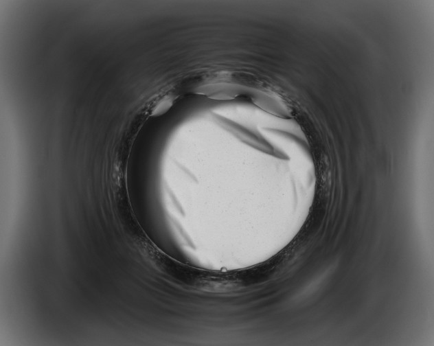 X0000082950555200703020152