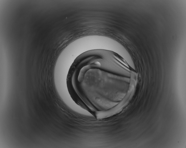 X0000082950556200703020152