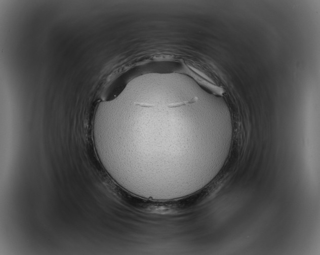 X0000082950557200703020152