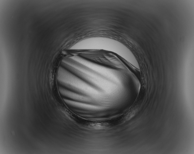 X0000082950558200703020152