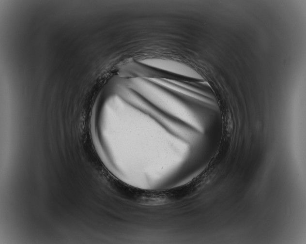 X0000082950559200703020152