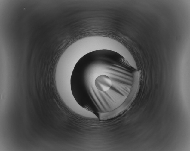 X0000082950560200703020152