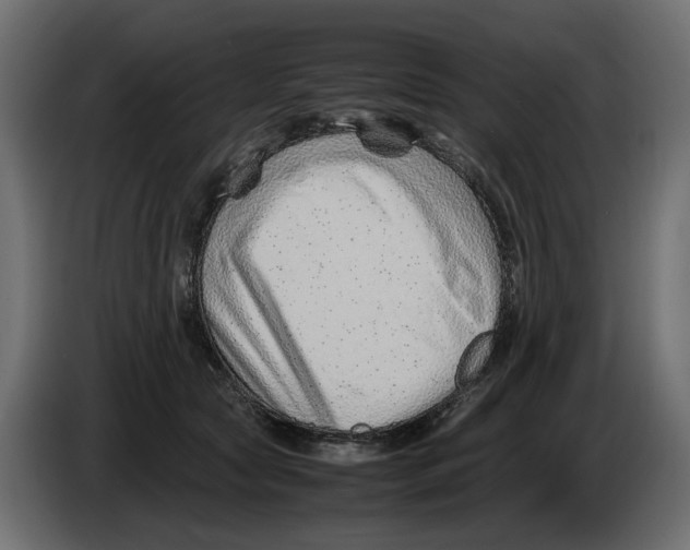 X0000082950561200703020152