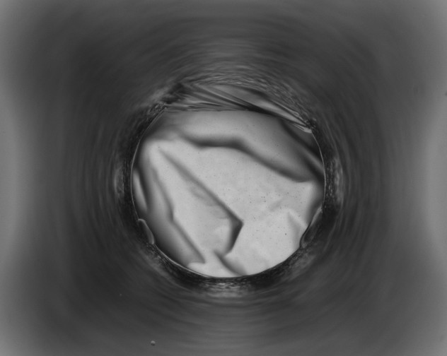 X0000082950562200703020152