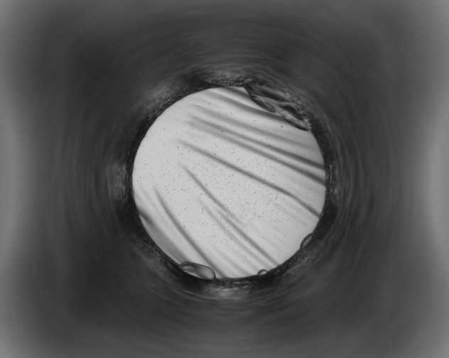 X0000082950563200703020152