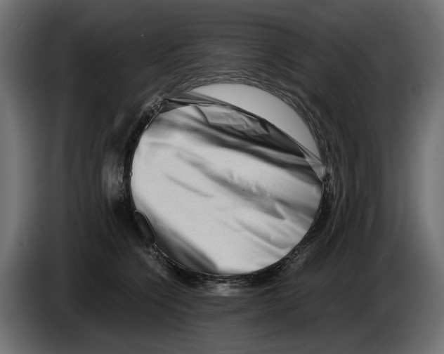 X0000082950564200703020152