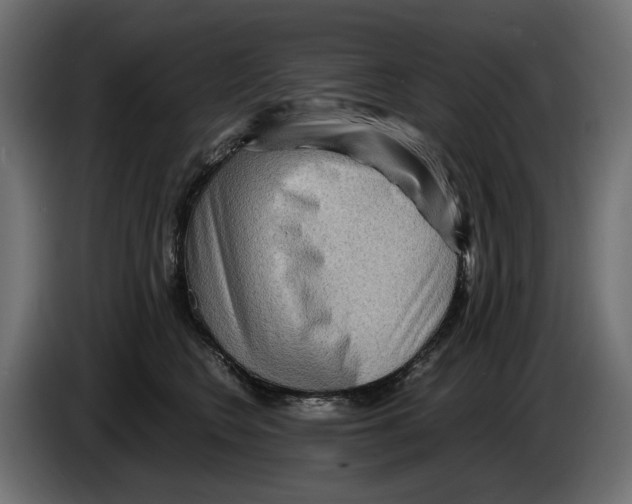 X0000082950566200703020152