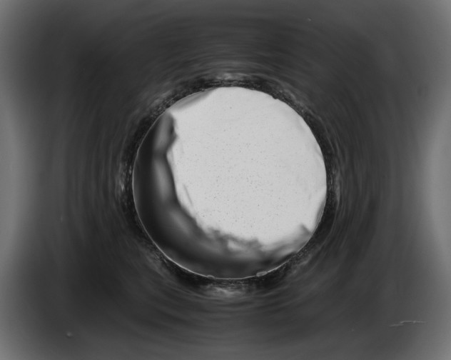 X0000082950567200703020152